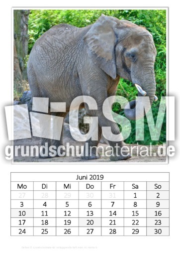 Juni_Elefant.pdf